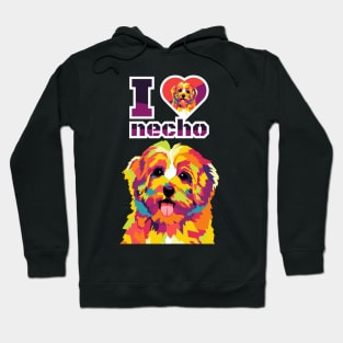 necho Hoodie